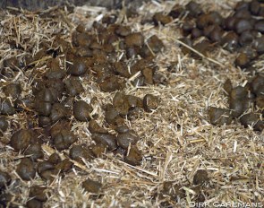 Manure :: Photo © Dirk Caremans