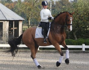 Dequan in 2012 under Maxime van der Vlist