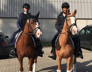 Selected in Warendorf for the 2019 German Developing Pony Riders Championships: Jette Brünjes on Nanchos Naseweis and Joshua Dietze on Monte