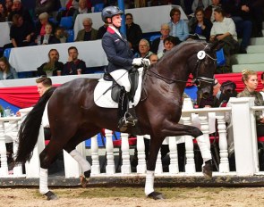 Up to Date (by San Amour x De Niro x Ponticello xxx) :: Photo © Feldhaus