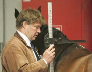 Ponies are getting measured at the 2009 European Pony Championships :: Photo © Astrid Appels
