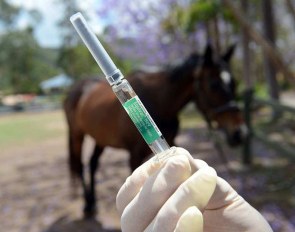 Hendra Vaccine in Australia