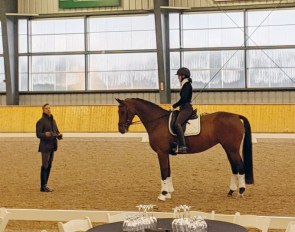 Claire Ploughman and My Happiness learning from Robert Dover at 2019 Dressage Levy Performance Advantage Symposium