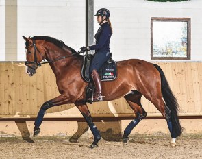 Dorothee Schneider on Liliano OLD: a photo of a young horse in the desired frame with the rider with a relaxed leg position that allows for the movement to flow :: Photo © Jan Reumann