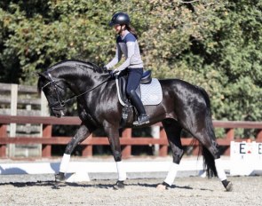 Miki Yang and Ascot de Massa at Four Winds Farm in Los Altos Hills, CA :: Photo © Joseph Newcombe