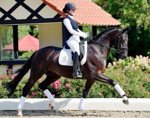 Darkozy (by De Niro x Sarkozy x Wolkentanz II)