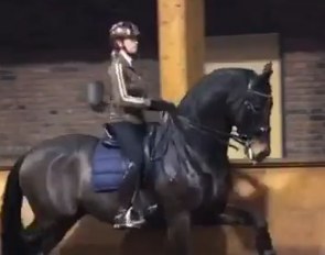 Teaser clip of Anky van Grunsven training Bon Bravour for Grand Prix