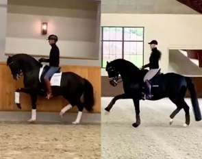 Total U.S. and Totilas in a December 2019 Online Video Teaser Special