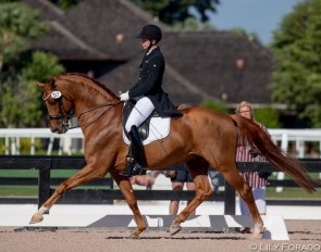 Kevin Kohmann aboard Olga Ozerova-Hartsock's Five Star at the 2020 CDN Wellington :: Photo © Lily Forado