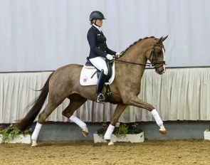 Enny (by Estobar x Furst Piccolo)