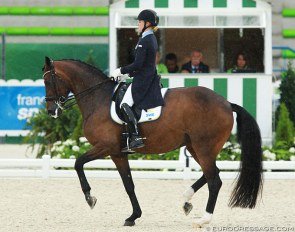 Jeanna Hogberg and Darcia VH at the 2014 World Equestrian Games in Caen :: Photo © Astrid Appels