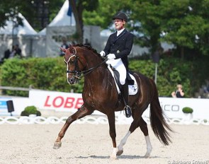 Niklaas Feilzer and Quotenkönig competing at the 2018 CDN Balve :: Photo © Barbara Schnell