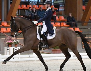 Sonnar Murray-Brown on Erlentanz at the 2020 CDI Le Mans :: Photo © Les Garennes