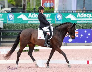 Canadian Paralympian Lauren Barwick of Reddick, FL, brought Sandrino all the way to the FEI level after less than two months of training as a para-dressage mount :: Photo © Sue Stickle