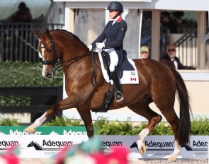 Brittany Fraser-Beaulieu and All In at the 2020 CDI 5* Wellington :: Photo © Astrid Appels