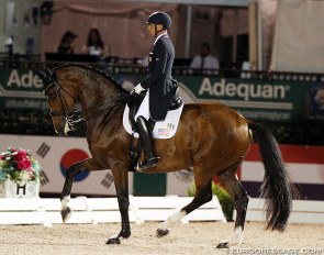 Steffen Peters and Suppenkasper competing in the 5* Grand Prix under the floodlights at the 2020 CDI Wellington :: Photo © Astrid Appels