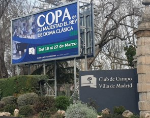 No 2020 CDI 4* in Madrid