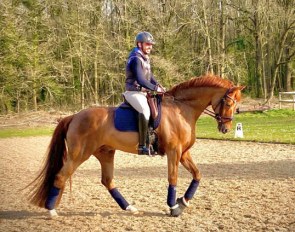 Rodolpho Riskalla and Don Henrico at his temporary base, Haras de Champcueil, near Paris during Corona times