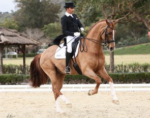Joe Antonio Garcia Mena and Sorento at their show debut in Spain :: Photo © Alberto Martinez Bracero