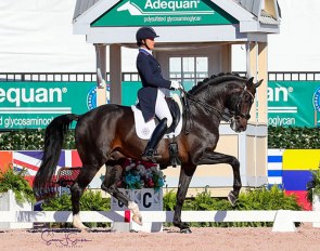 Adrienne Lyle and Salvino at the 2020 CDI Palm Beach Derby in Wellington :: Photo © Sue Stickle