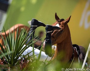 Life with horses has been turned upside down due to the corona pandemic :: Photo © Jon Stroud