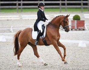 Natalie Hering and Litvinenko Sjælstofte :: Photo © Ridehesten