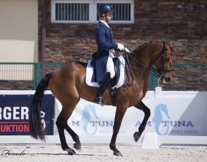 Alfonso Exposito and Triguena IX at the 2017 CDI Segovia :: Photo © Lily Forado