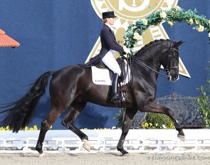 Nadine Capellmann and Dark Dynamic at the 2013 CDI Hagen :: Photo © Astrid Appels