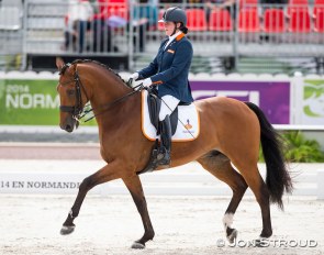 Sanne Voets and Vedet PB at the 2014 World Equestrian Games in Caen :: Photo © Jon Stroud