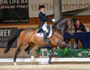 Pia Gabriel and Junimond competing in Austria in 2017 :: Photo © Petra Kerschbaum
