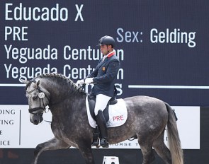 Juan Manuel Galeano Cerezo and Truco de Centurion on 2019 World Young Horse Championships :: Photo © Astrid Appels
