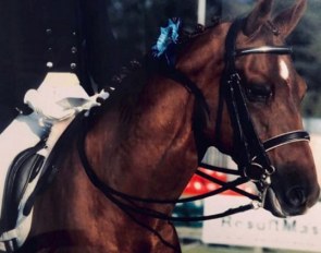 Rosie Moreton-Deakin and Enfant in the early 2000s