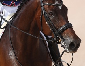 Verdades :: Photo © Astrid Appels