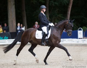 Bart Desender and Fine Art von Bellin at the 2019 Bundeschampionate :: Photo © Jessica Stammer