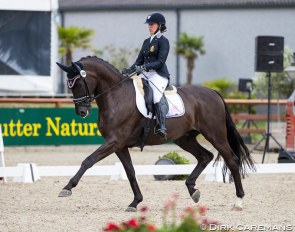 Belgian para rider Manon Claeys on San Dior in 2019 :: Photo © Hippofoto
