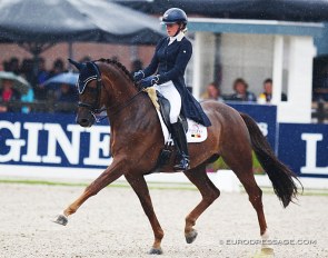 Belgian Flore De Winne and MacDonovan at the 2019 World Young Horse Championships in Ermelo :: Photo © Astrid Appels