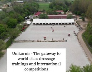 Stable Unikornis in Pilisjaszfalu in Hungary will host a CDN Open Summer Dressage Festival, a CDI-W World Cup Qualifier and the 2020 European Youth Championships in July and August 2020