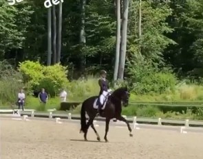 Sanneke Rothenberger and Sankt Anton at the 2020 CDN Darmstadt-Kranichstein on 5 July 2020