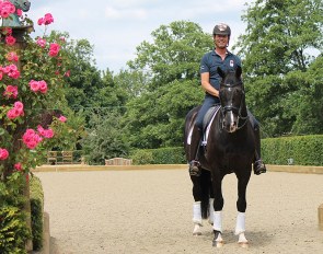 Carl Hester rides his horses on Martin Collins' footing, Ecotrack and Activ-Track