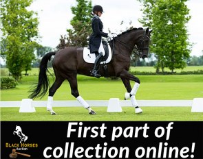Dendy (by Jazz x Ulft x Amor) is part of the Black Horses Auction on 1 August - She is competing at Prix St. Georges level and is out of legendary Endy