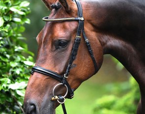 Fine Deern (by Formel Eins x Rock Forever)