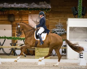 Lisanne Zoutendijk and Davina at the 2015 CDI Roosendaal Indoor :: Photo © Digishots
