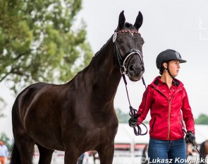 Lia Welschof and First Class at the horse inspection for the 2020 European Young Riders Championships in Budapest :: Photo © Lukasz Kowalski