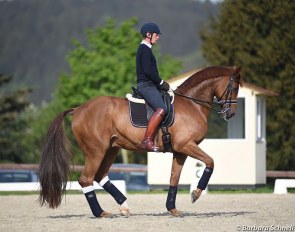 Emile Faurie on 2018 WEG British Team bronze medal winner Dono di Maggio :: Photo © Barbara Schnell