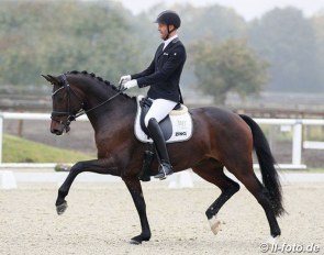 Marcus Hermes and Von Herzen FH at the First German WCYH Selection trial in Warendorf :: Photo © LL-foto