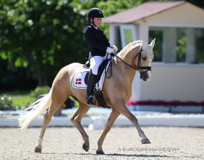 Thilde Trude Hare and Morgensterns Dakar at the 2019 CDIO-P Hagen :: Photo © Astrid Appels
