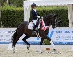 Wibke Hartmann-Stommel and Dark Diamond HM at the 2019 Westfalian Young Horse Championships :: Photo © LL-foto