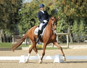 Tom Goode and Straight Horse De Milla (by De Niro x Zack)