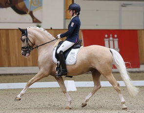 Rohlsdorfs Carribean Dream :: Photos © Pony Royal