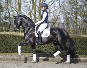Anne van Olst and Diego at Van Olst Horses in Den Hout, The Netherlands